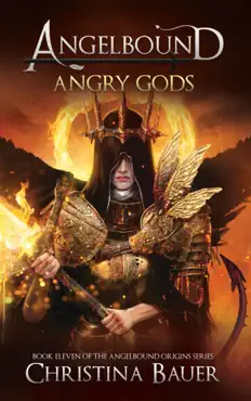 angry gods book cover image