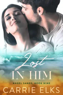 lost in him book cover image