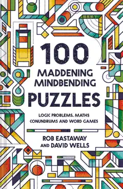 100 maddening mindbending puzzles book cover image
