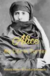 Alice My Life in Turtles synopsis, comments