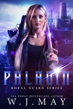 paladin book cover image