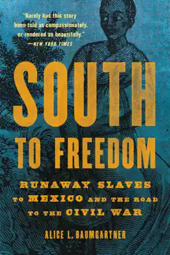 south to freedom book cover image
