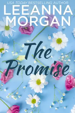 the promise: a sweet, small town romance book cover image