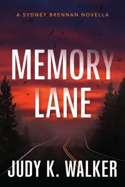 memory lane book cover image