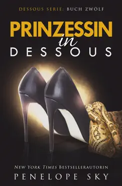 prinzessin in dessous book cover image