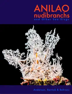 anilao nudibranchs book cover image