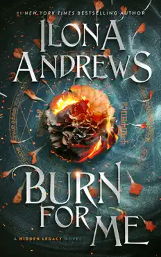 burn for me book cover image