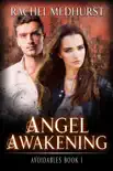 Angel Awakening synopsis, comments