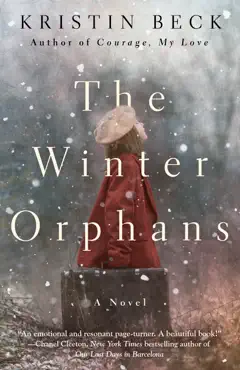 the winter orphans book cover image