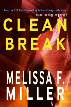 clean break book cover image