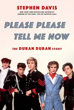 please please tell me now book cover image