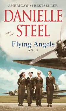 flying angels book cover image