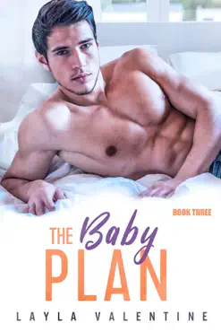 the baby plan (book three) book cover image