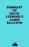 Summary of David Leeming's James Baldwin sinopsis y comentarios