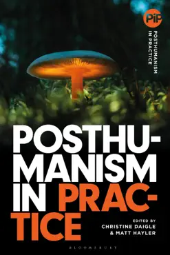 posthumanism in practice book cover image