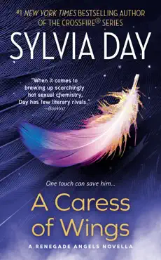 a caress of wings book cover image