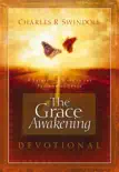 The Grace Awakening synopsis, comments