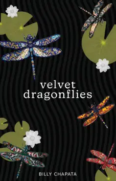 velvet dragonflies book cover image