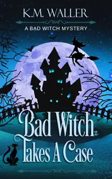 bad witch takes a case book cover image