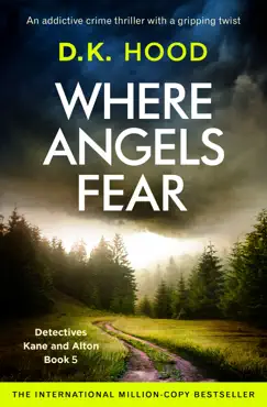 where angels fear book cover image