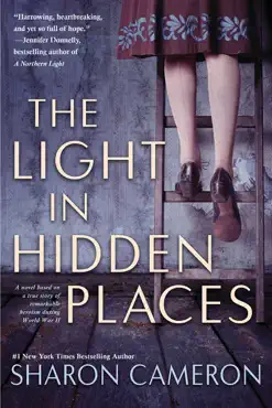the light in hidden places book cover image