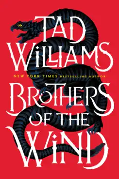 brothers of the wind book cover image