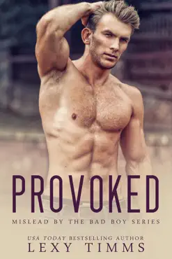 provoked book cover image