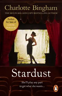 stardust book cover image