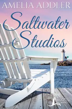 saltwater studios book cover image