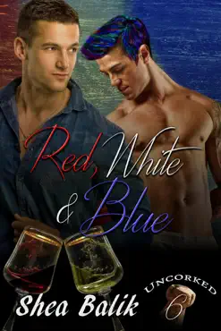 red, white and blue book cover image