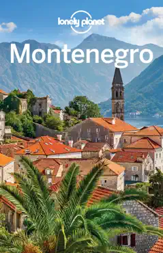 montenegro 4 book cover image
