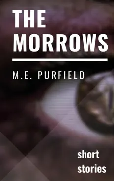 the morrows book cover image