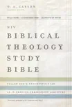 NIV, Biblical Theology Study Bible synopsis, comments