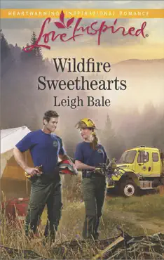 wildfire sweethearts book cover image
