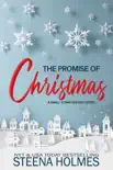 The Promise of Christmas synopsis, comments