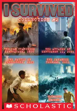 i survived collection two: four stories of adventure book cover image