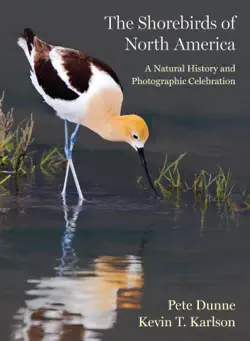 the shorebirds of north america book cover image