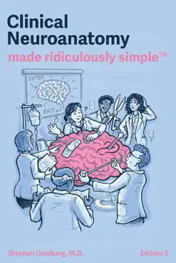 clinical neuroanatomy made ridiculously simple imagen de la portada del libro