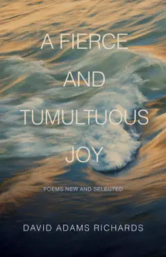 a fierce and tumultuous joy book cover image