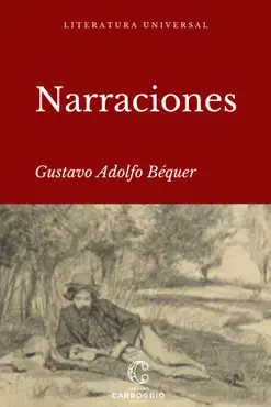 narraciones book cover image