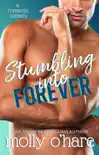 Stumbling Into Forever synopsis, comments