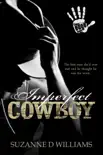 Imperfect Cowboy synopsis, comments