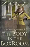 The Body in the Box Room synopsis, comments