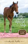 Southern Belle's Special Gift sinopsis y comentarios