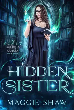 hidden sister book cover image
