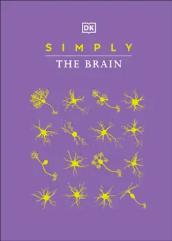 simply the brain book cover image