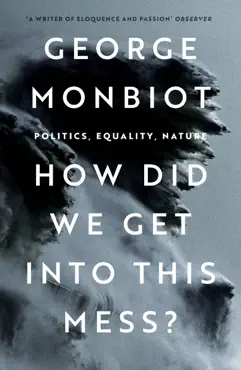 how did we get into this mess? book cover image