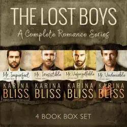 the lost boys: a complete romance series 4 book box set book cover image