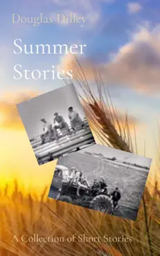 summer stories book cover image