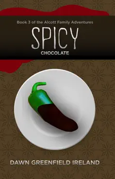 spicy chocolate book cover image